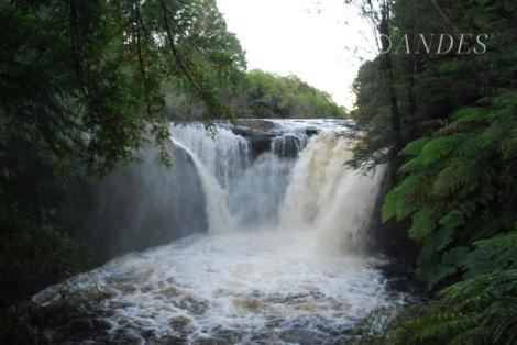 Parcela Bosque Nativo Pasos Río Bravo, Tepuhueico, Chonchi