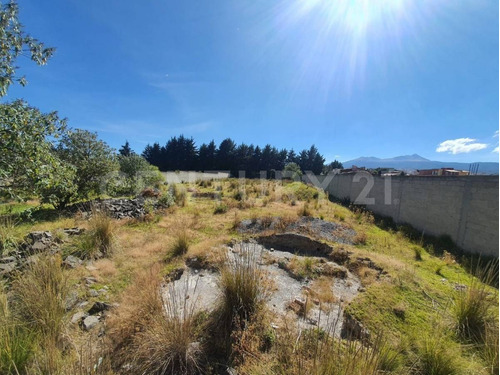Imagen 7 de 12 de Terreno Venta En Cacalomacan