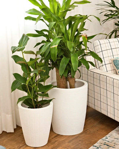 Jogo De Vaso 2 Tamanhos Polietileno Plantas Flores Cd60 Cor Areia Rose
