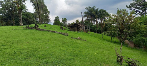 Imagem 9 de 15 de Chácara Para Venda Em São José Dos Pinhais, Área Rural De São José Dos Pinhais - Cha6607_1-2422868