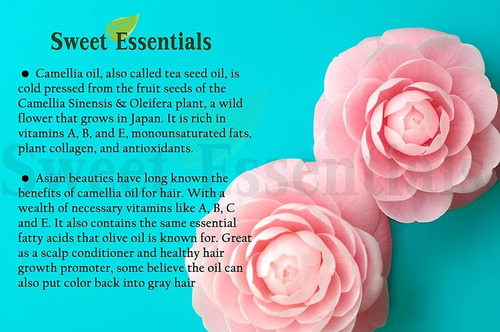 Imagen 5 de 5 de Aceite Camelia Organico 4 Oz