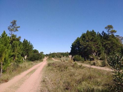 Imagen 4 de 10 de Solares - En Venta - Barrio Pinares - Punta Del Diablo - Mza 124