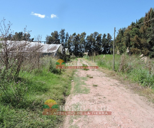 Chacra En Venta 6 Has, Casa 3 Dormitorios, Galpón, Aguadas Canelón Chico
