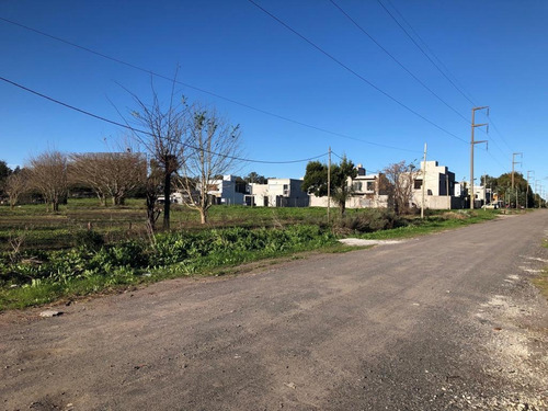 Imagen 8 de 9 de Terreno En Venta En Olmos | 167 Esq.45 (5 Lotes En Block)