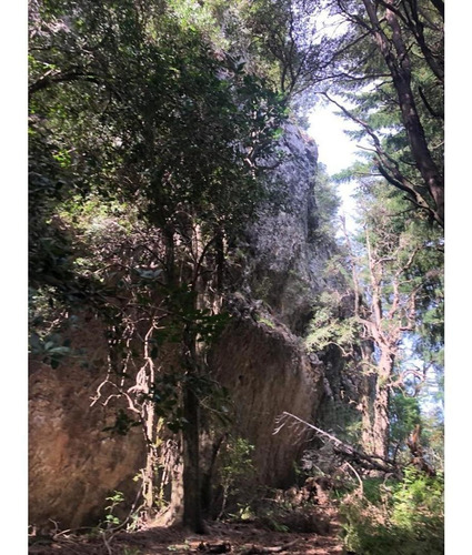 Imagen 9 de 13 de Unico, Magnifico Lote De 2717 M2 Aproximados