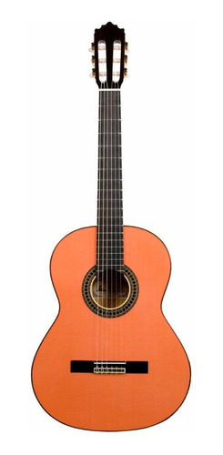 Guitarra Criolla Electroacustica Rdl39 Tono Y Volumen