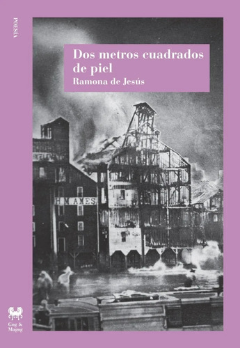 Dos Metros Cuadrados De Piel Poesía Ramona De Jesús