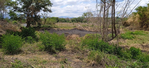 Imagen 12 de 14 de ¡venta! Lote De Terreno En Cúa