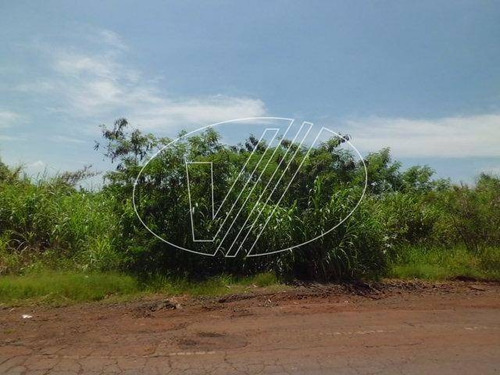 Imagem 6 de 7 de Terreno À Venda Em Betel - Te038043