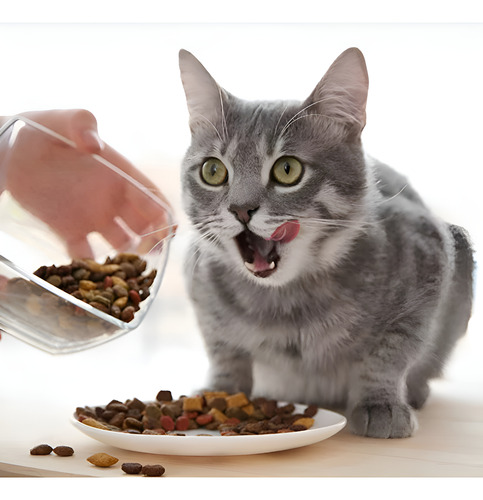 Cat Chow Delimix 19.5kg