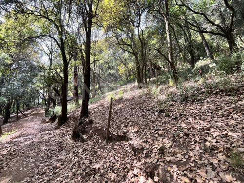 Terrenos Ecológicos En Venta, Santa Rosa Xochiac, Álvaro Obregón, Cdmx