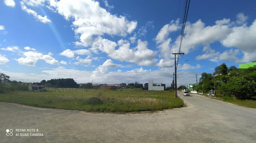 Terreno Para Venda Em Garopaba, Campo Duna - 1000_2-1174819