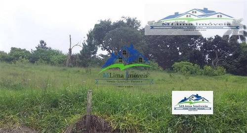 Imagem 6 de 11 de Área Industrial Ou Comercial Em Terra Preta / Mairiporã - 579