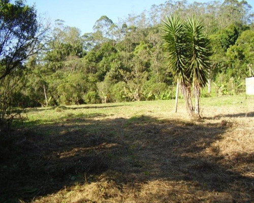 Imagem 5 de 15 de Sítio Em Biritiba Ussu - Mogi Das Cruzes - 1816