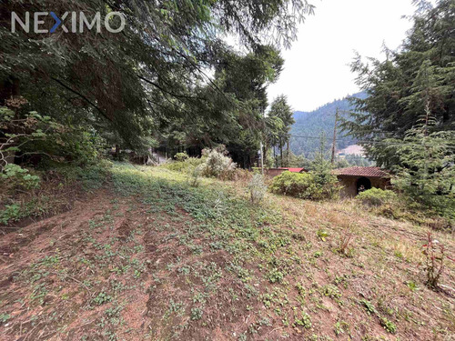 Imagen 2 de 6 de Venta Terreno 0 Ambiente Ignacio Allende