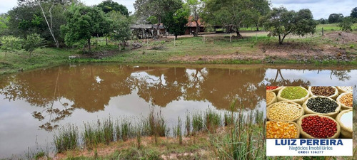 Imagem 4 de 15 de Fazenda À Venda No Vale Do Araguaia - T0 - 36 Alqueirões (dupla Aptidão) - 1675