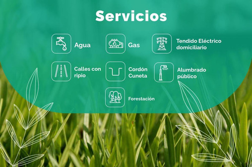 Imagen 22 de 30 de Terreno A La Venta En Barrio Cercano A 4 Minutos De Rosario. Autopista Rosario Santa Fe