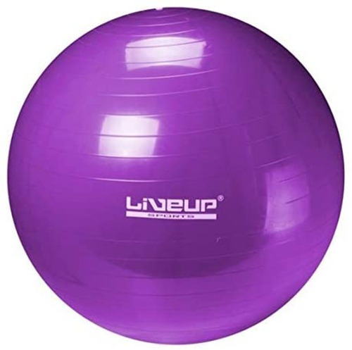 Imagen 1 de 2 de Bola De Gimnasio 65cm Con Bomba Model Ls3222-65