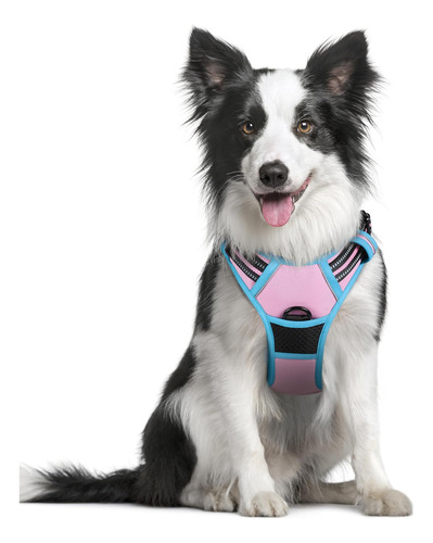 Arnés Para Perro Rabbitgoo Sin Tirones, Ajustable, Talla M