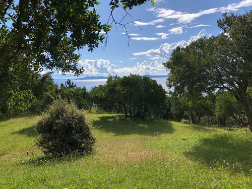 Parcela En Venta En Futrono - Llifen - 1.05 Hectáreas C/rio