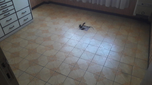 Imagen 27 de 30 de Departamento De 3 Ambientes San Martin 3800