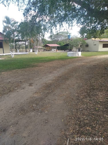 Imagen 20 de 24 de Finca En Barinas A Orilla De La Carretera