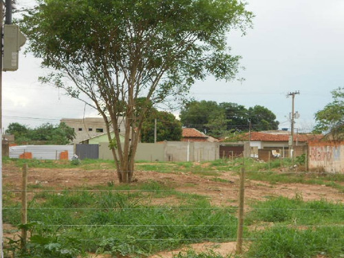 Imagem 3 de 4 de 04 Terrenos Planos - 17375