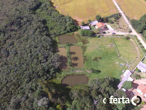 Imagem 4 de 15 de Chacara Com Casa - Diamante - Ref: 598 - V-598