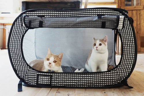 Jaula Portable Gato Libre Stress Viaje Necoichi Envio Gratis
