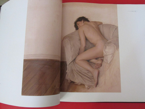 Imponente Libro Pintor Chileno Ricardo Maffei 2010 Mu Escaso (Usado)
