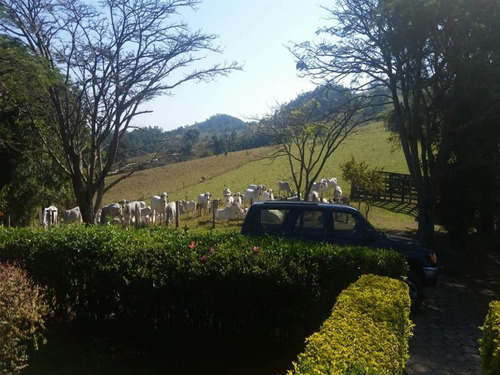 Imagem 8 de 20 de Rural - Venda - Boqueirao - Praia Grande - Mcb1038