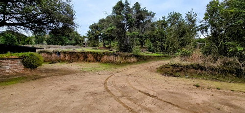 Fundo Valle Alegre, Quintero
