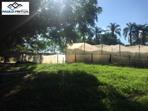 Imagem 6 de 17 de Área De 31.500m Comercial / Residencia Na Rodovia Lix Da Cunha. - Te01509 - 33411597