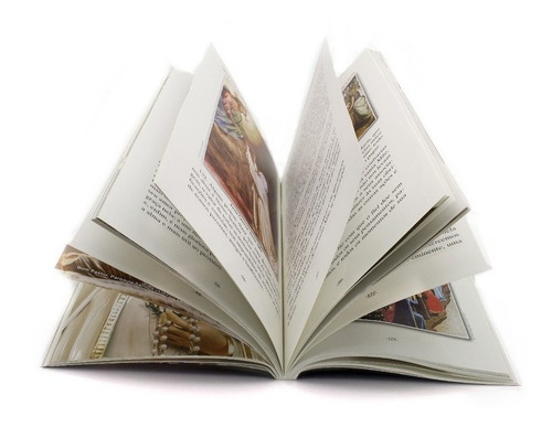 Livro Tratado Da Verdadeira Devoção A Santíssima Virgem