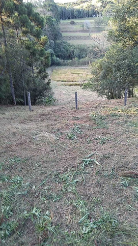Imagem 7 de 13 de Chácara - Borda Do Campo