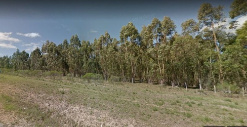 Campo De 35 Hectareas Sobre Ruta 12