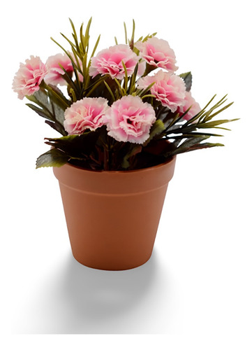 Planta Clavel Chino Cuidados