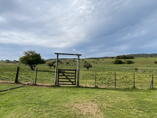 Imagen 14 de 27 de Campo 22 Has Con Casa, Cerca De Pueblo Edén - Pueblo Eden