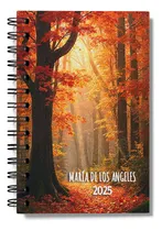Comprar Planificador  Docente A5 (15x21 Cm) 10 Cursos Nuevo Regimen