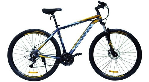 Bicicleta Phoenix RL002