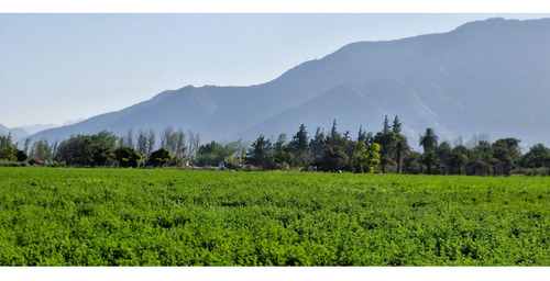 En Venta Terreno Agrícola De 4,5 Hectáreas, En Catemu.