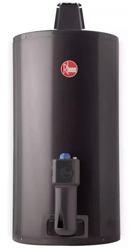 Termotanque Rheem De Colgar 80 Lts Gas Natural Tgnc080rh 