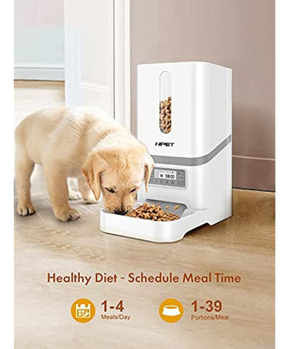 Alimentador Automático Para Mascotas Npet, Dispensador De Co