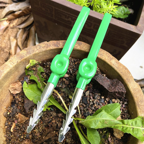 Ferramenta De Remoção De Ervas Daninhas, Capina Manual,