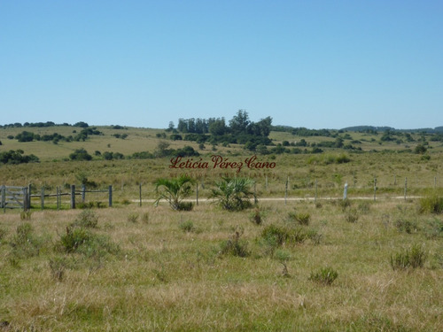 Venta De Chacra Con Casa En Cercanias De Pueblo Garzon- Ref: 18032