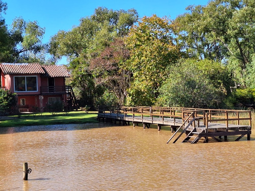 Las Garzas Del Delta 