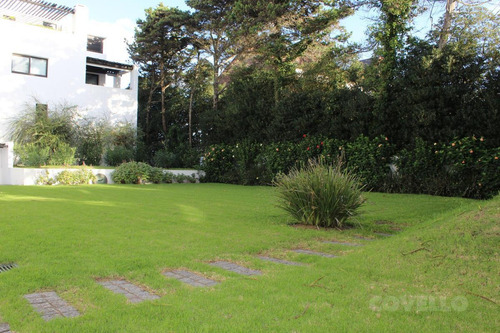 Imagen 15 de 17 de Departamento - Rincón Del Indio