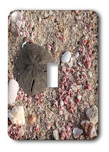 3drose Lsp_164781_1 Foto De Sand Dollar Y Conchas, Playa En 