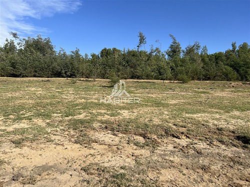 Terreno Construccion En Venta En Colbún