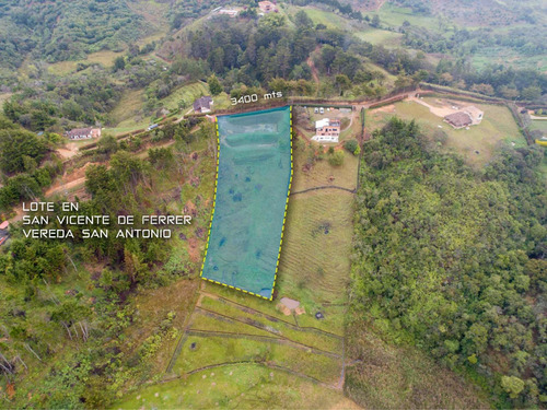 Imagen 4 de 8 de Lote 3,400mt2 En San Vicente Ferrer
